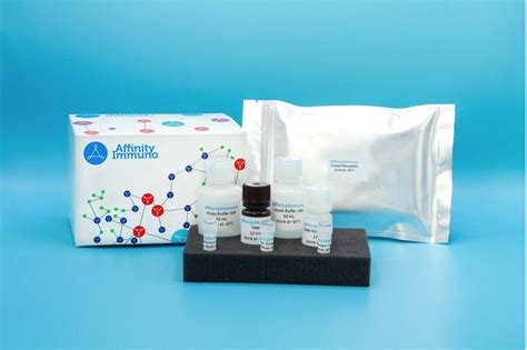 anti bevacizumab elisa kit|ab237658 (Human) ELISA Kit anti.